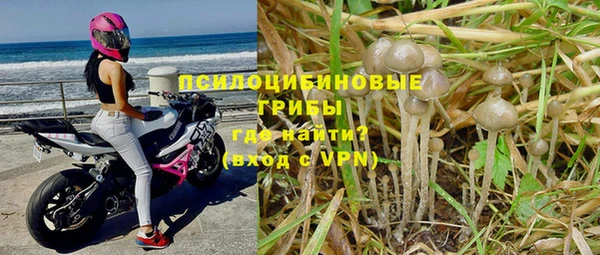 синтетический гашиш Ельня