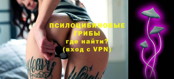 синтетический гашиш Ельня