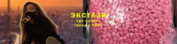 стаф Чекалин