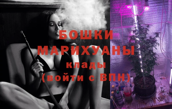 мдпв Елизово