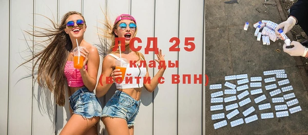 мдпв Елизово