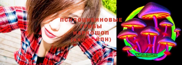 мдпв Елизово