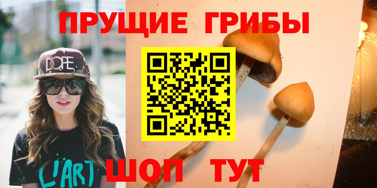Псилоцибиновые грибы Cubensis Сердобск