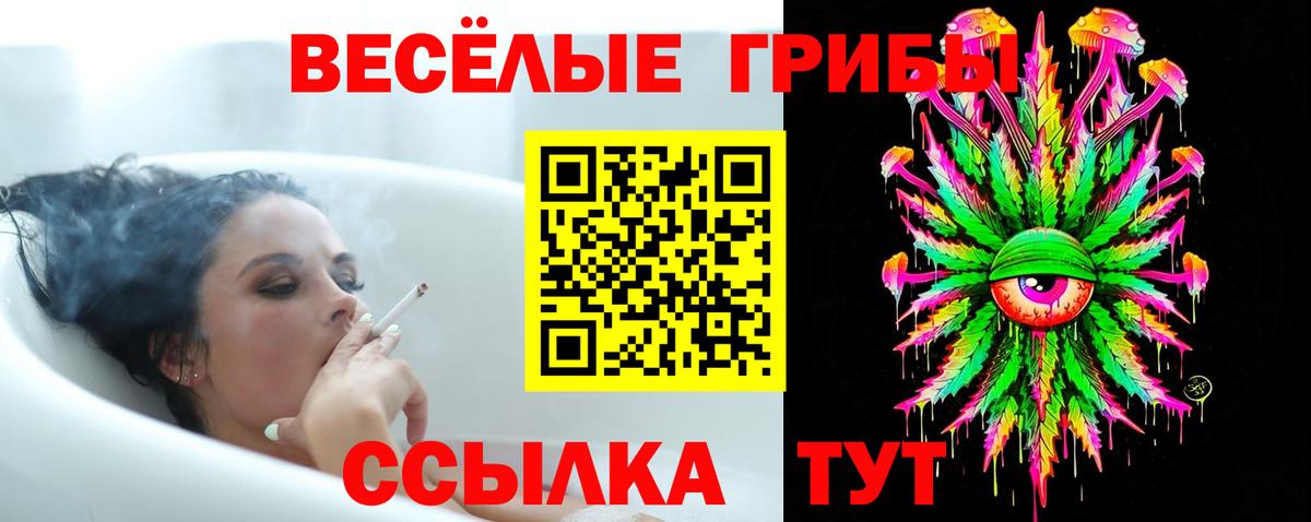 Псилоцибиновые грибы Psilocybine cubensis  где найти   Галлюциногенные грибы прущие грибы  Сердобск 